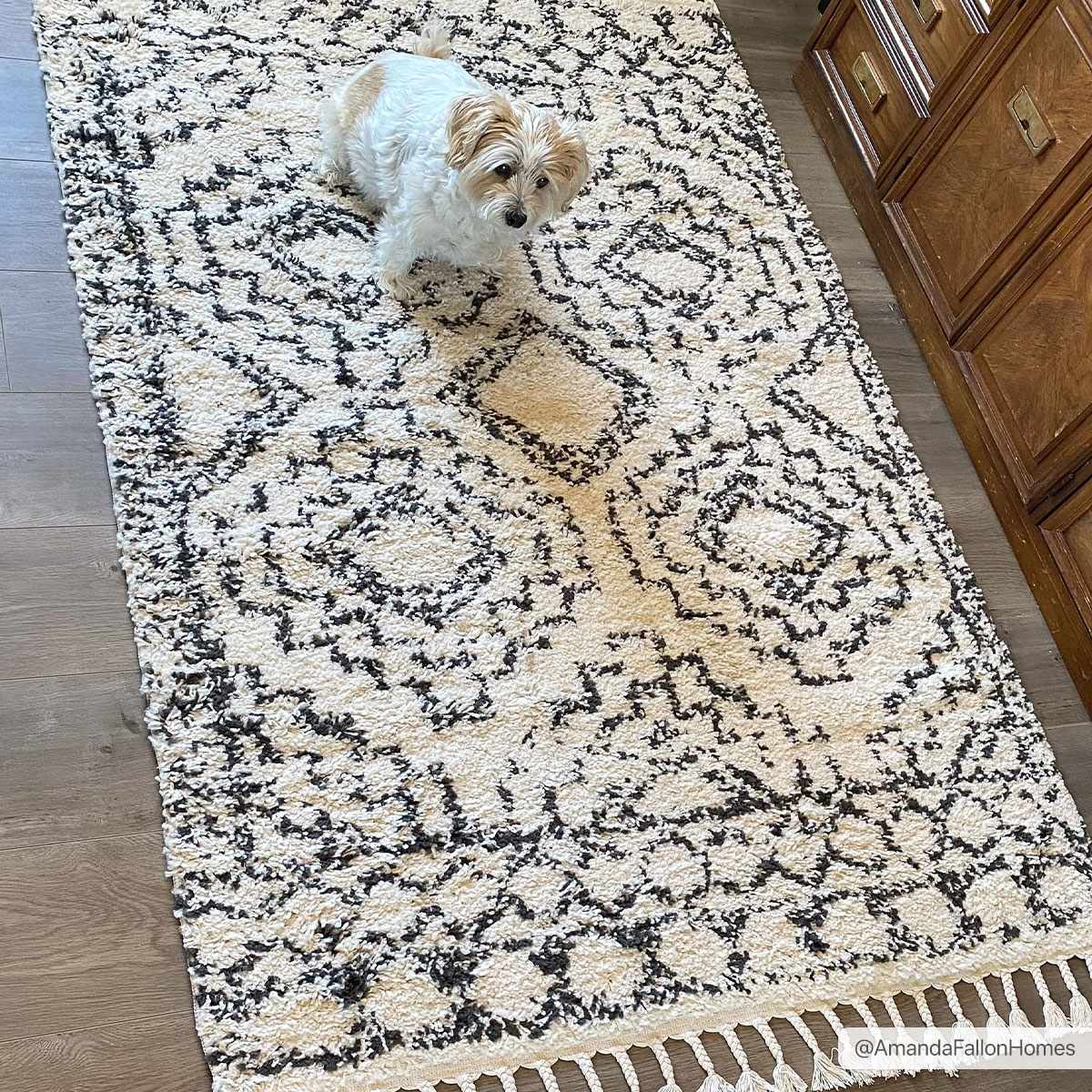 Buan Area Rug - Clearance by Boutique Rugs