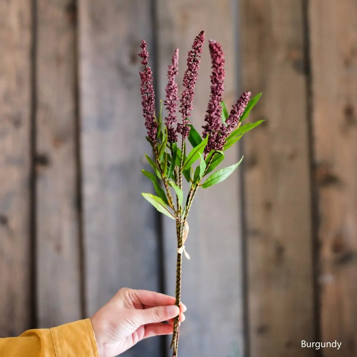 Buddleja Butterfly Bush Bundle 18" Tall by RusticReach