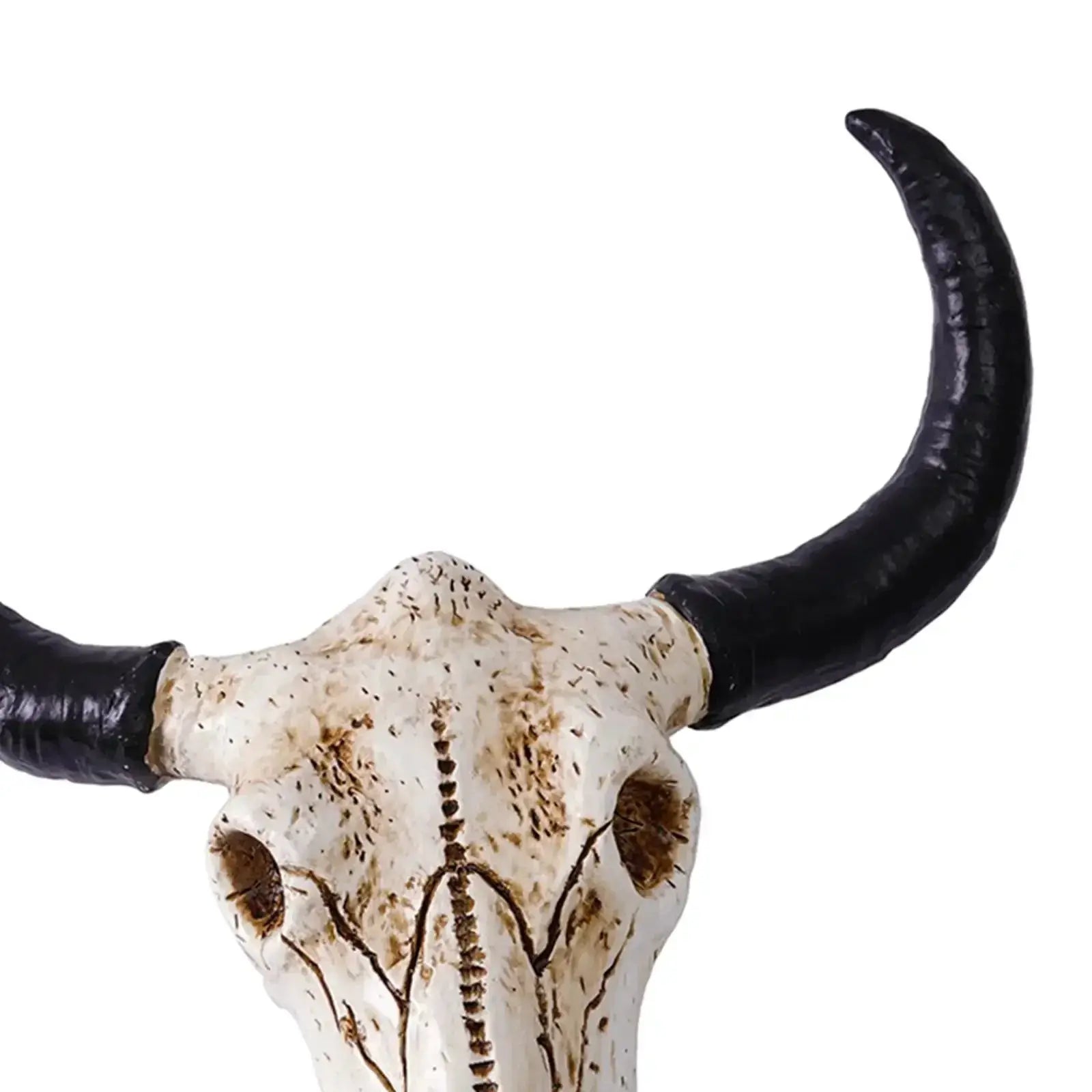 Bull Head Sculpture Home Owners Dull Wall Solution by House Of Avana