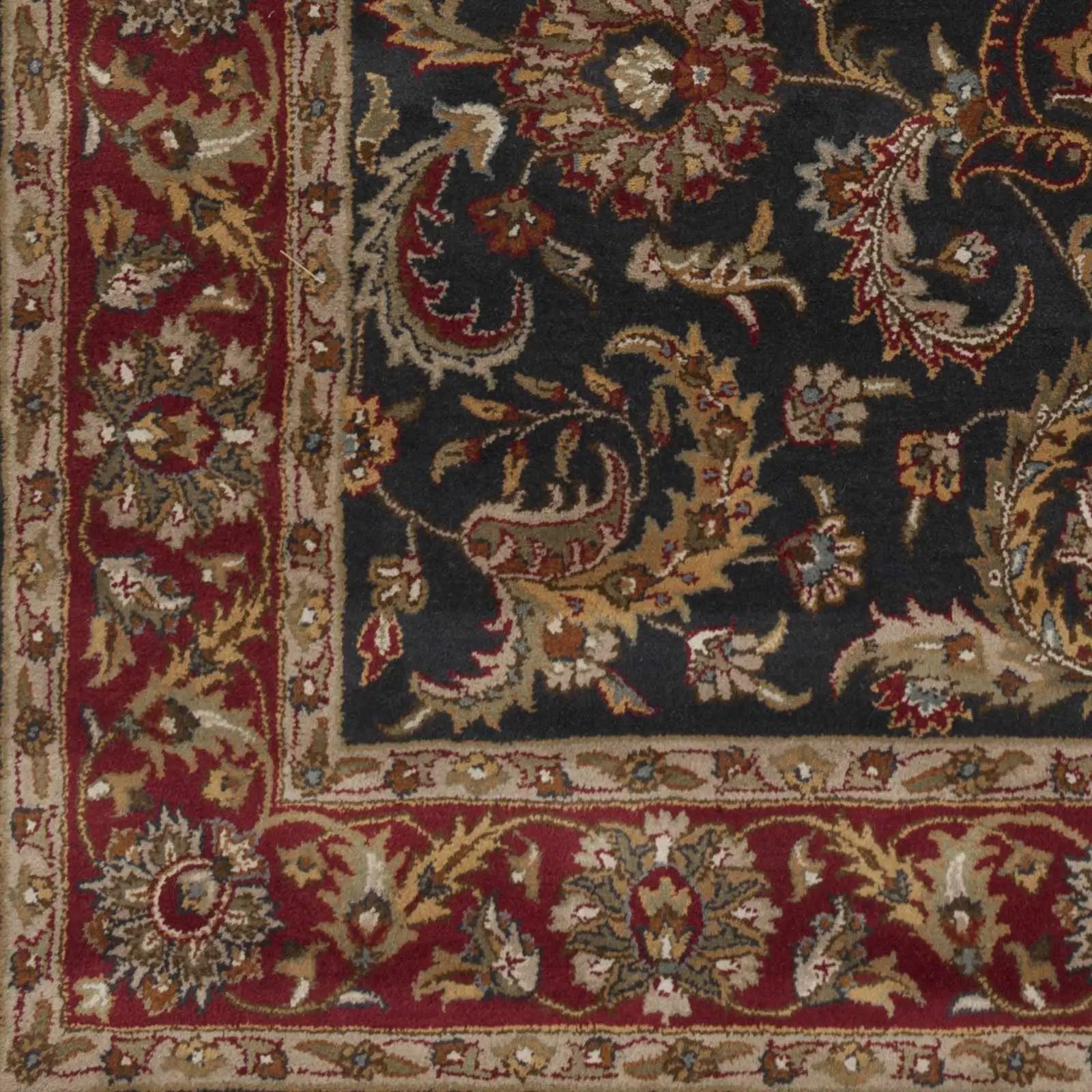 Bunola Area Rug by Boutique Rugs