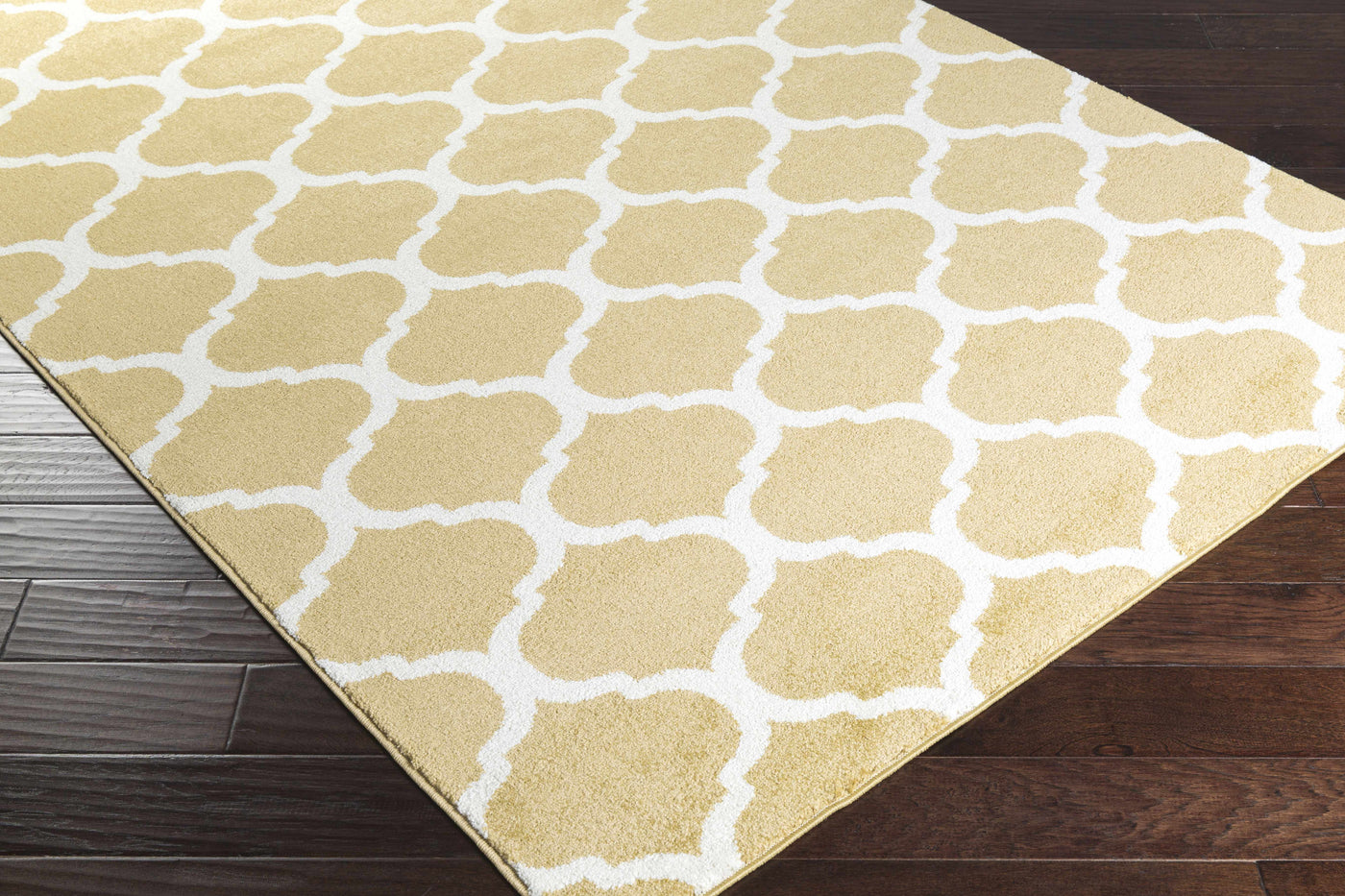 Burkettsville Clearance Rug - Clearance by Boutique Rugs