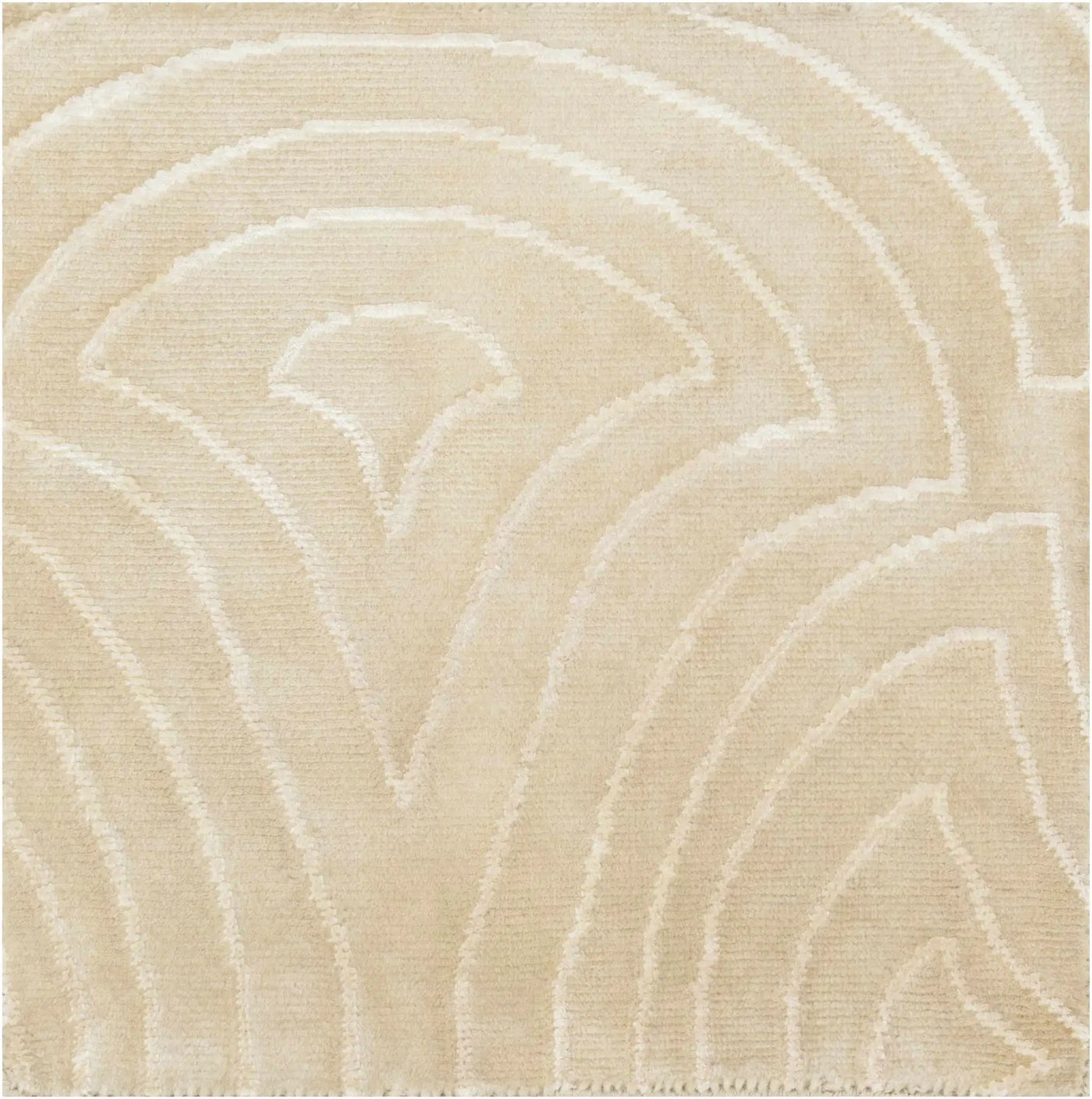 Burnwell Area Carpet - Clearance by Boutique Rugs
