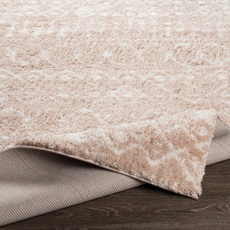 Blush Plush Area Rug by Boutique Rugs