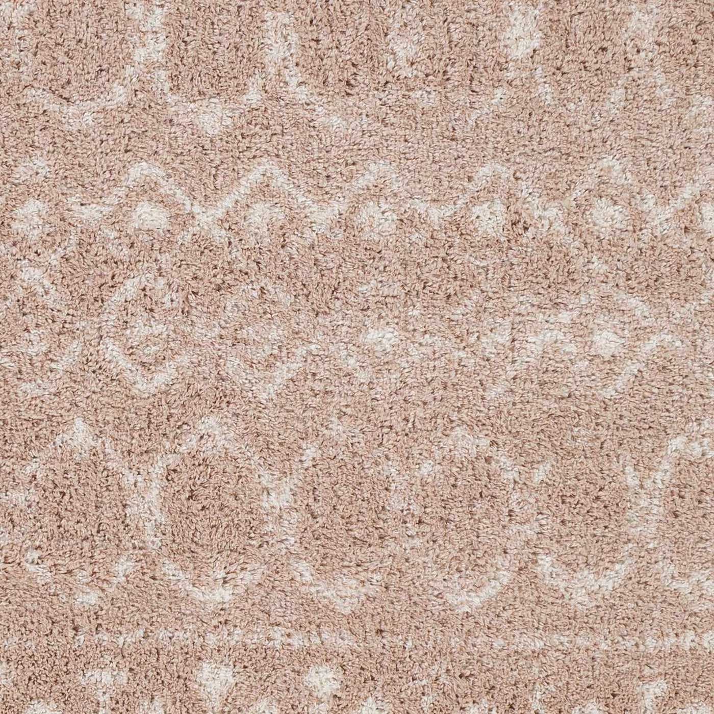 Blush Plush Area Rug by Boutique Rugs