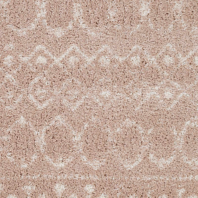 Blush Plush Area Rug by Boutique Rugs