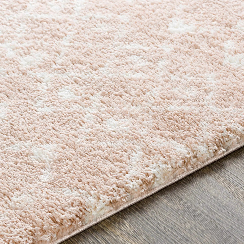 Blush Plush Area Rug by Boutique Rugs