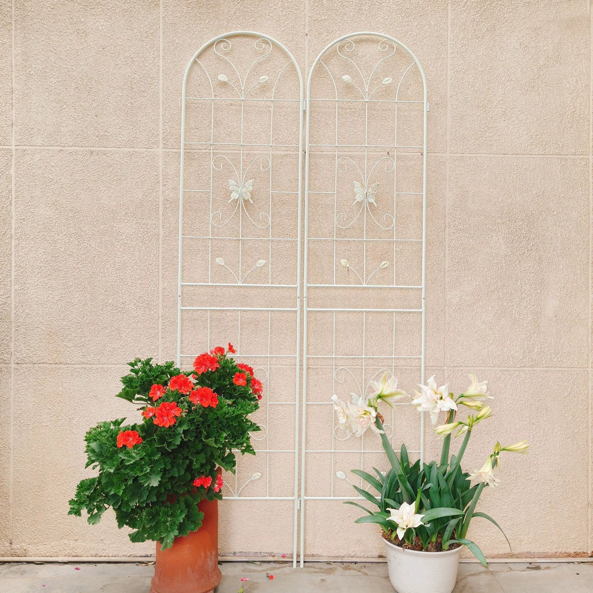 Garden Metal Trellis Rustproof Trellis For Climbing Plants Outdoor Flower Support by HouseOfZazla