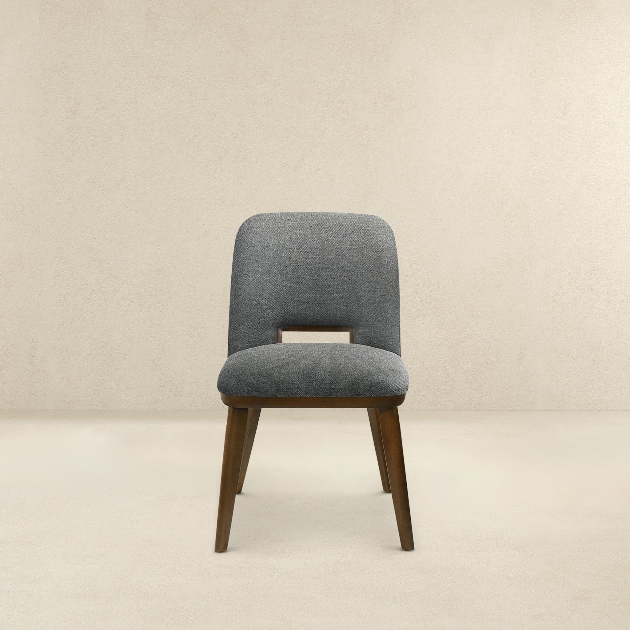 Blake - Modern Dining Chair (Set of 2) by HouseOfZazla