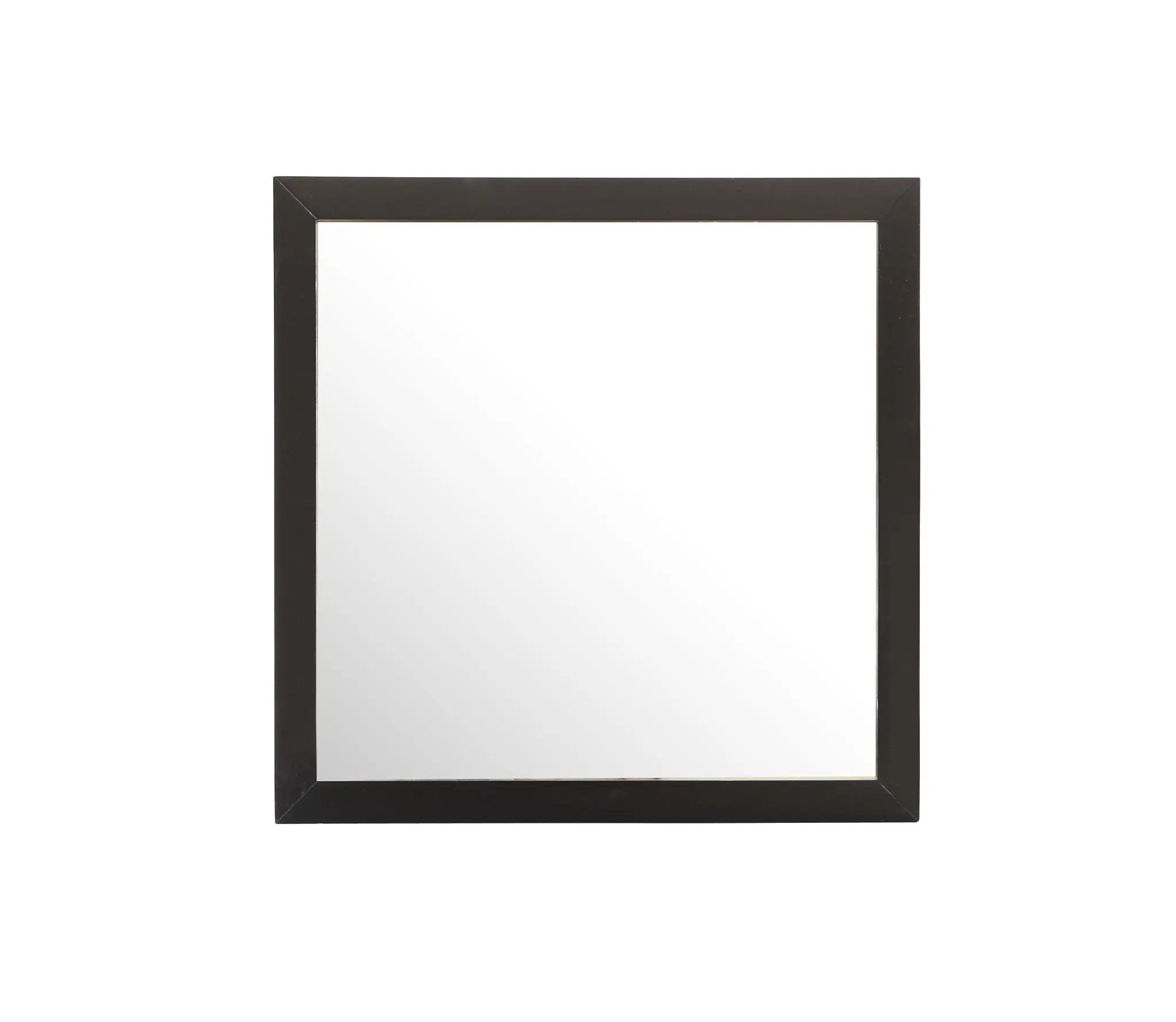 Burlington - Modern Design Transitional Wall Mirror by Unique Piece Furniture