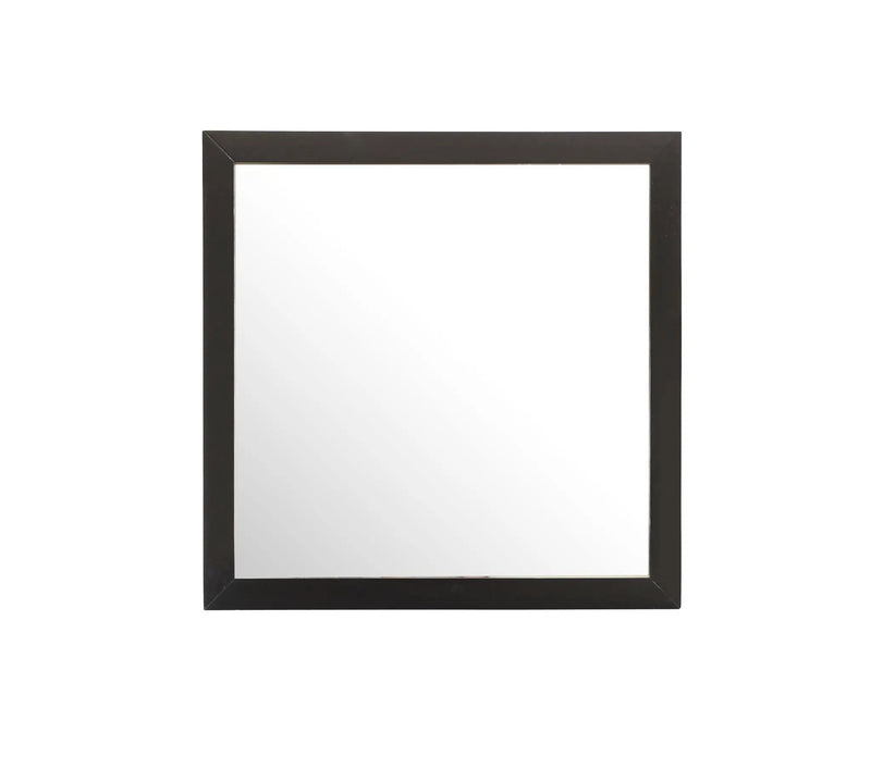 Burlington - Modern Design Transitional Wall Mirror by Unique Piece Furniture