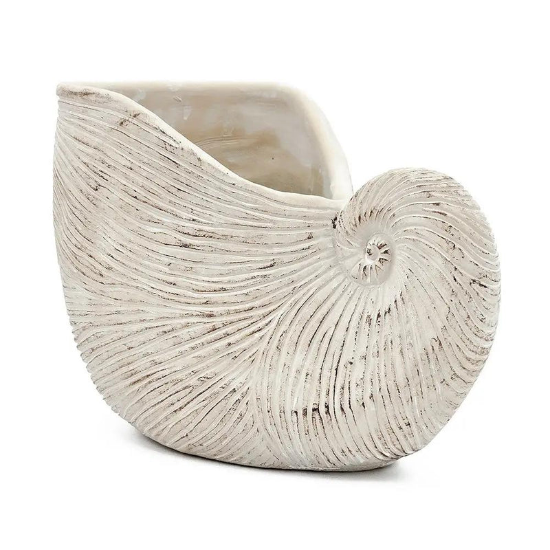 11.5x6.7x7.7" Sand and Cement Nautilus Shell Planter with Textured Beige Finish by HouseOfZazla
