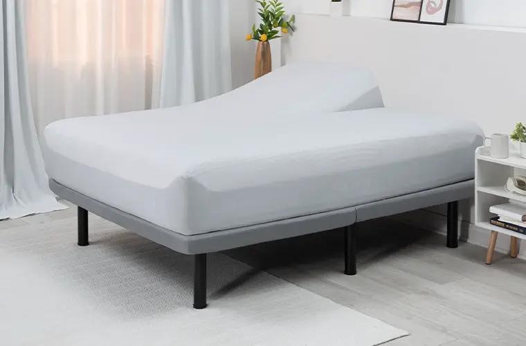 BedGear Dri-Tec Split Head King Mattress Protector by HouseOfZazla