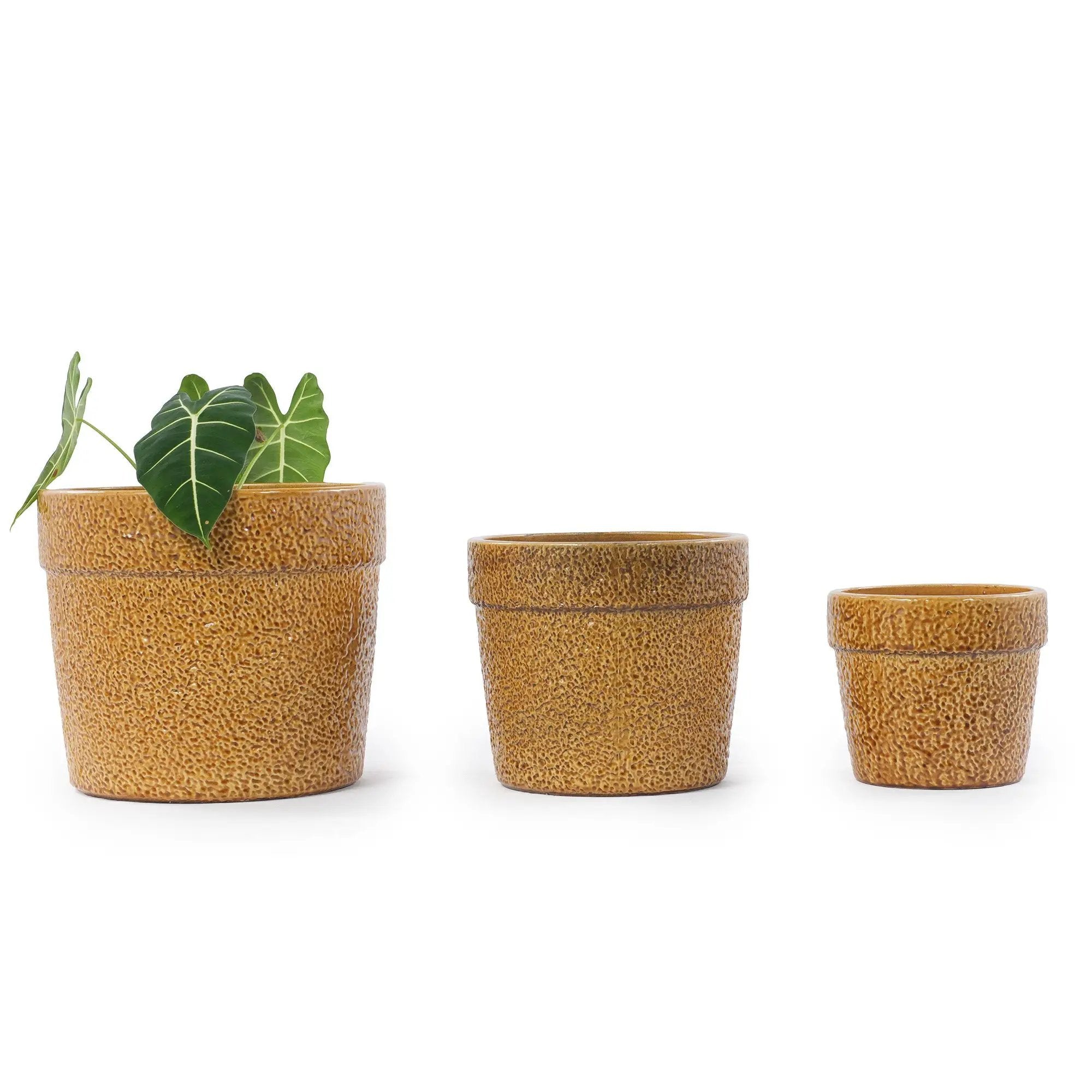 Handmade Ceramic Planter Set of 3 by HouseOfZazla