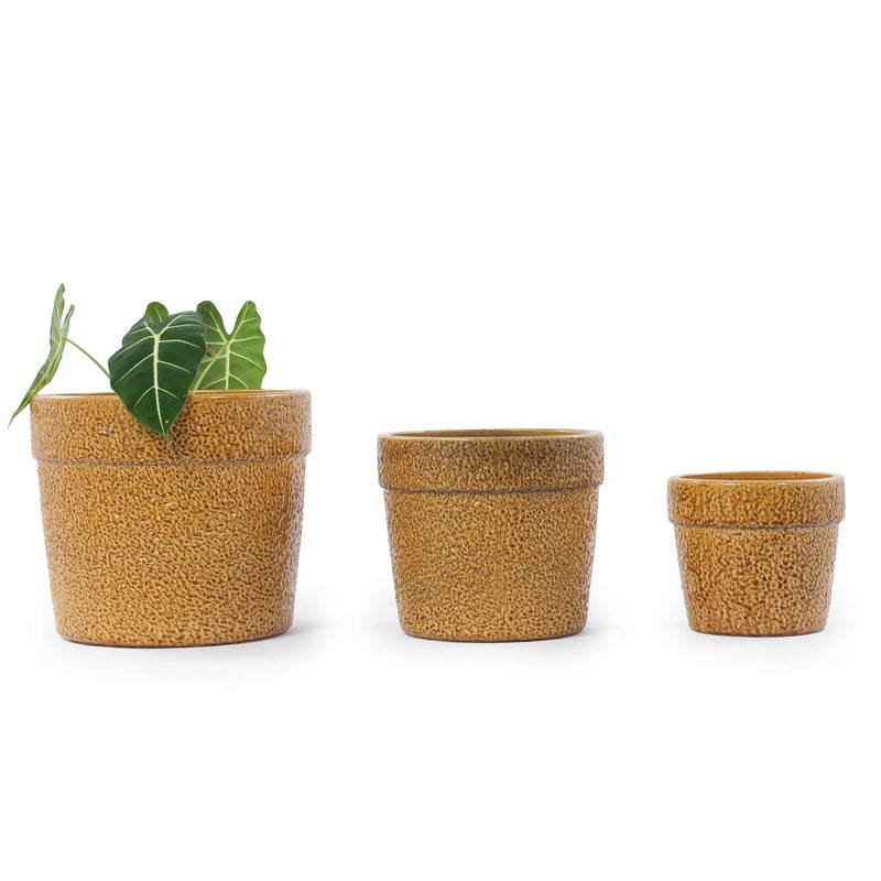 Handmade Ceramic Planter Set of 3 by HouseOfZazla