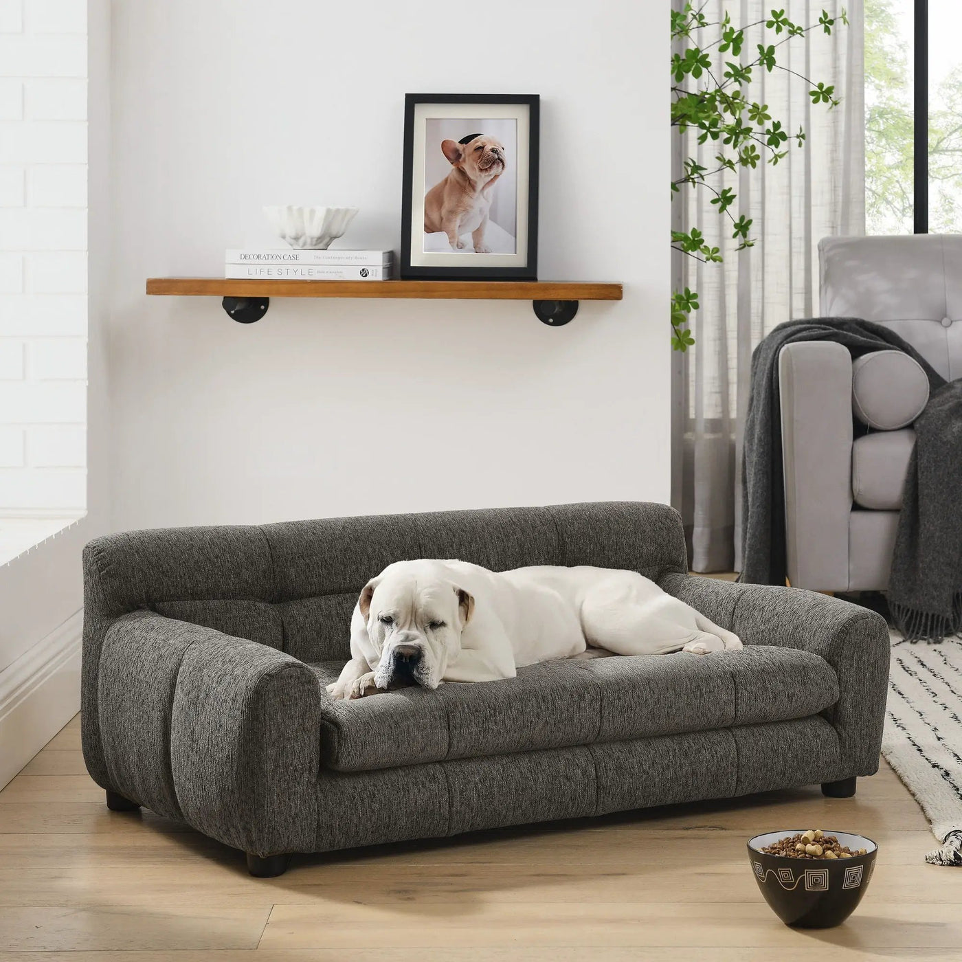 Modern Pet Sofa With Backrest And Armrests by HouseOfZazla