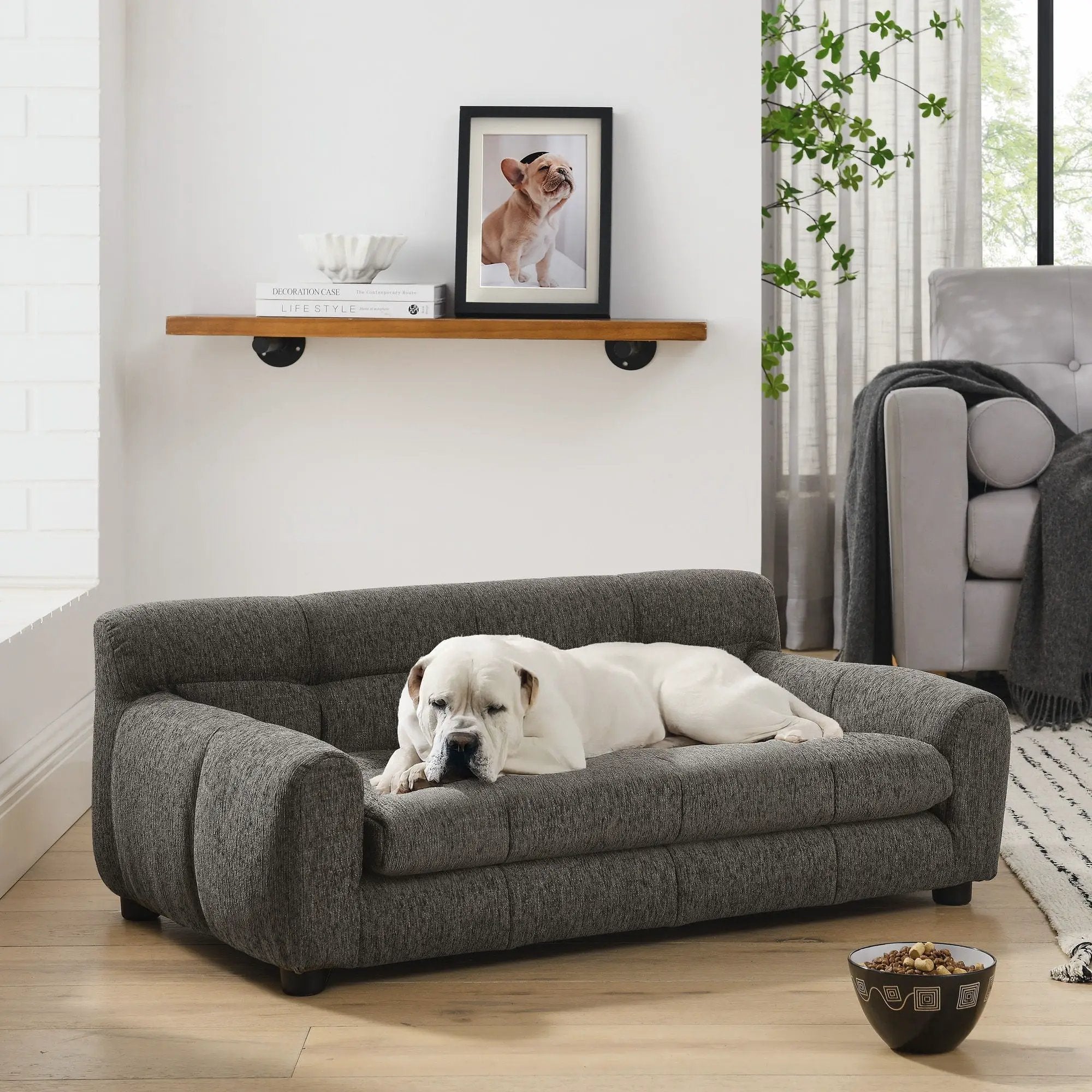 Modern Pet Sofa With Backrest And Armrests by HouseOfZazla