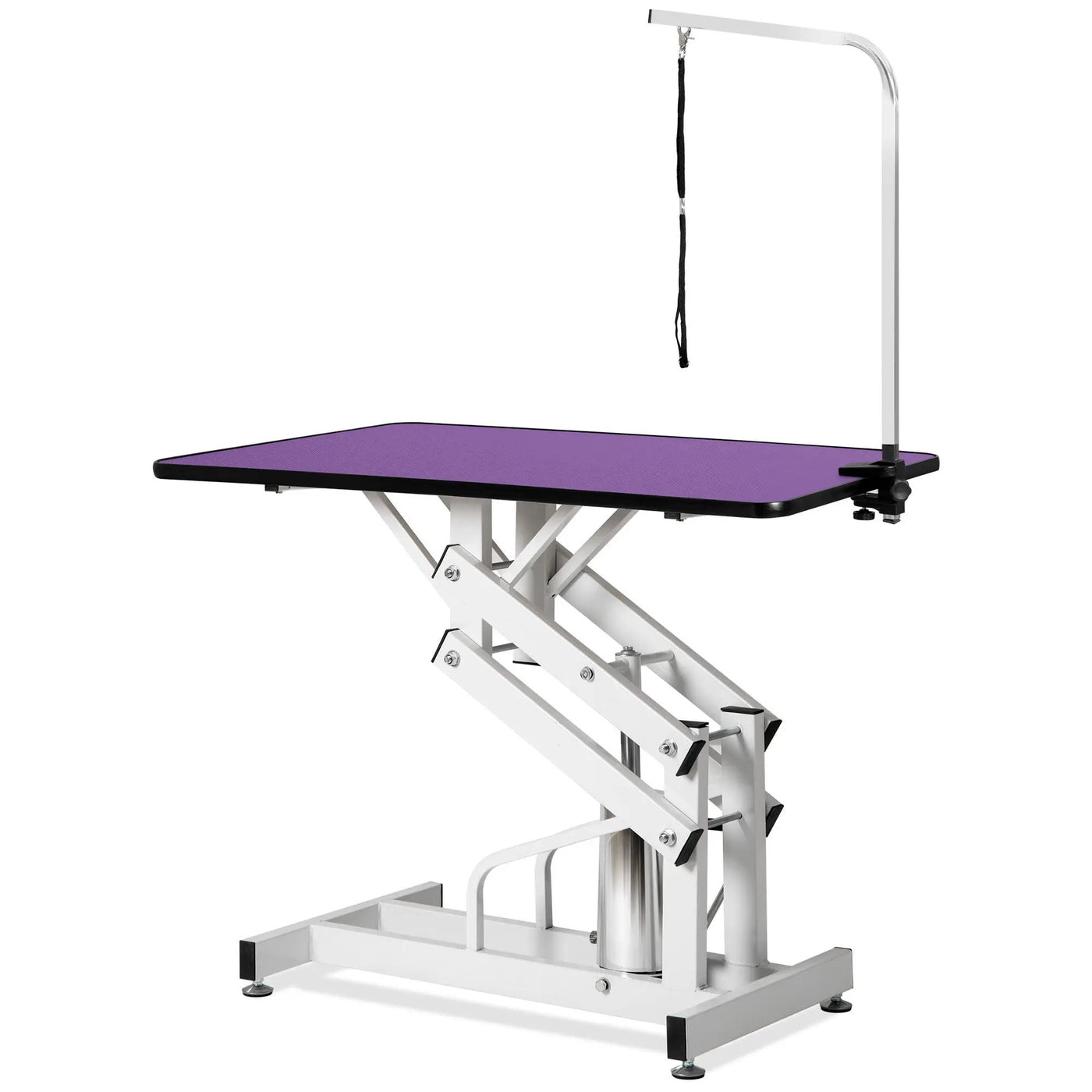 Hydraulic Pet Grooming Table by HouseOfZazla