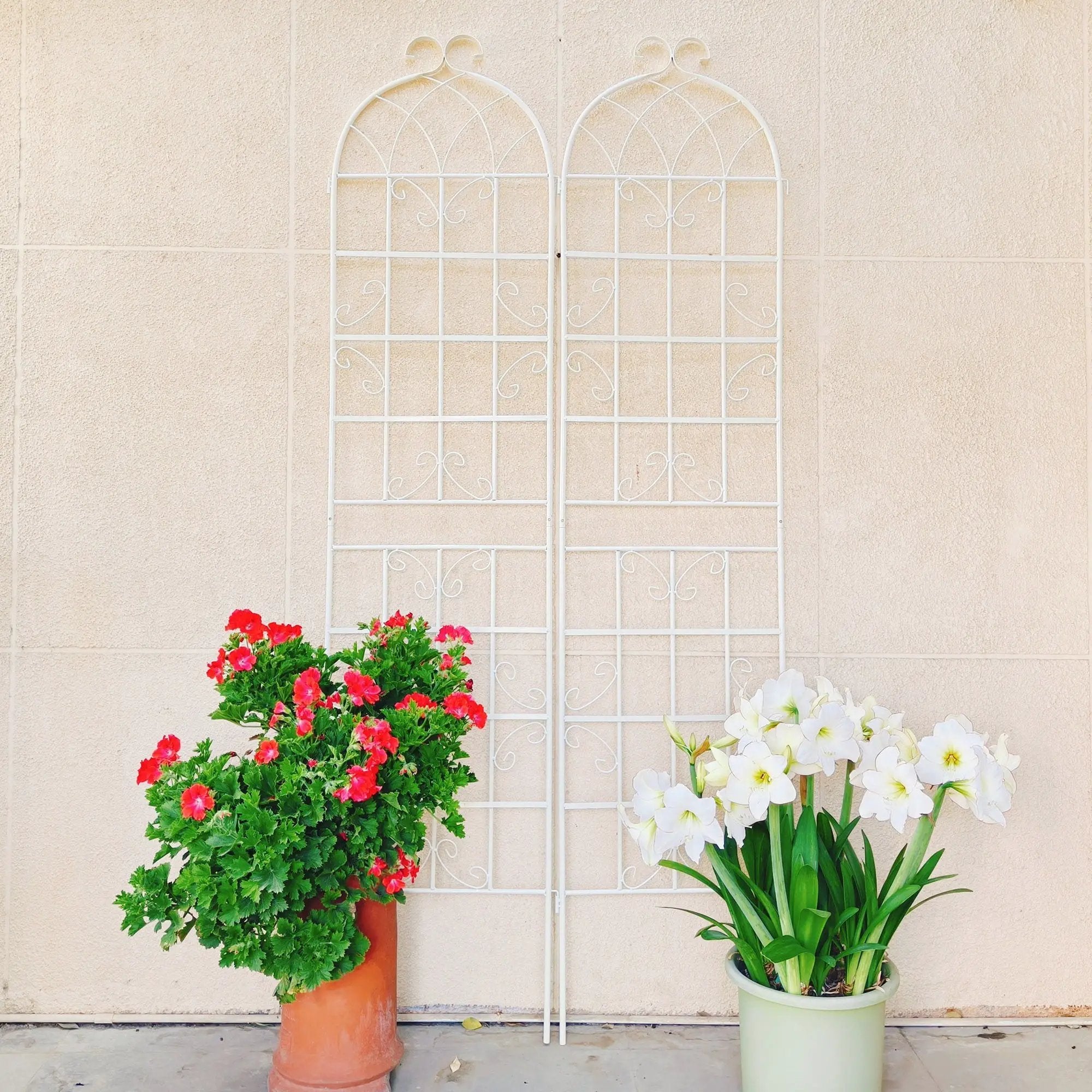 Metal Garden Rustproof Trellis For Climbing Plants Outdoor Flower Support by HouseOfZazla
