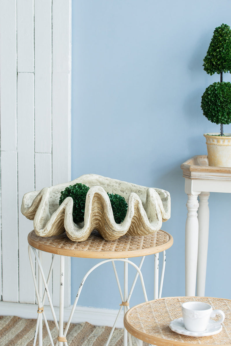 Medium Clam Shell Accent, photo 8 of 10