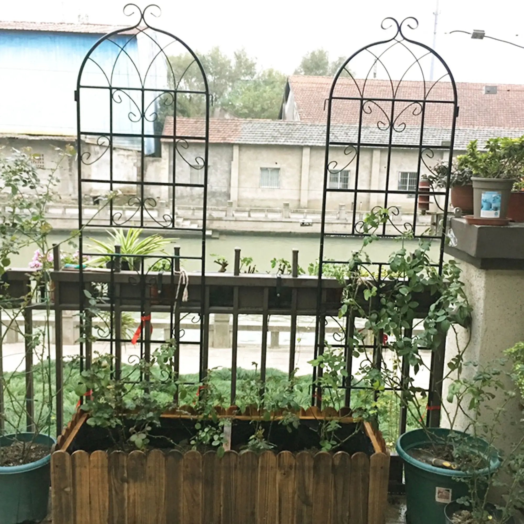 Metal Garden Rustproof Trellis For Climbing Plants Outdoor Flower Support by HouseOfZazla