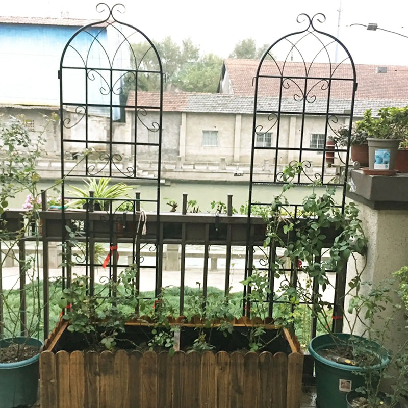 Metal Garden Rustproof Trellis For Climbing Plants Outdoor Flower Support by HouseOfZazla
