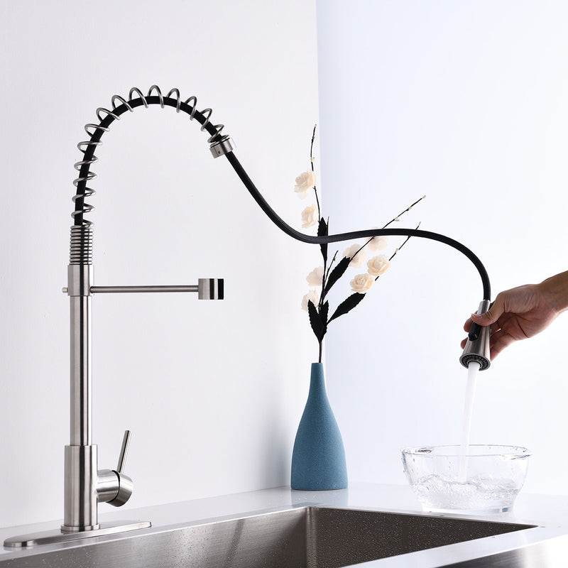 Modern Single Handle Spring High Arc Kitchen Faucet With Water Filter System by HouseOfZazla