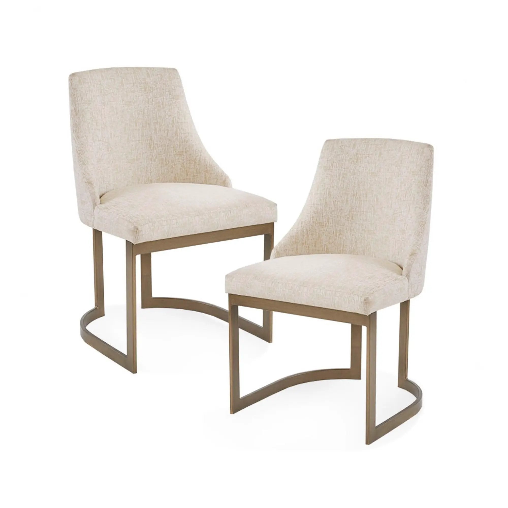 Contemporary Modern Accent Dining Chairs (Set of 2) by HouseOfZazla