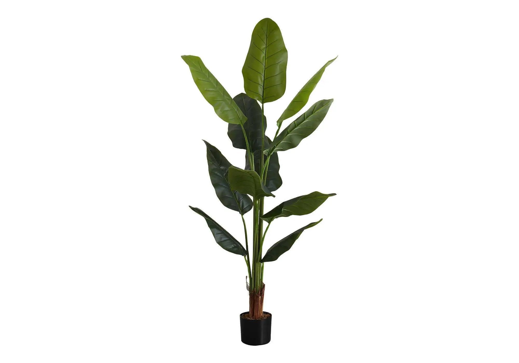 59" Tall, Artificial Plant, Strelitzia Tree, Indoor, Faux, Fake, Floor, Greenery, Potted, Real Touch, Decorative - Green / Black by Unique Piece Furniture