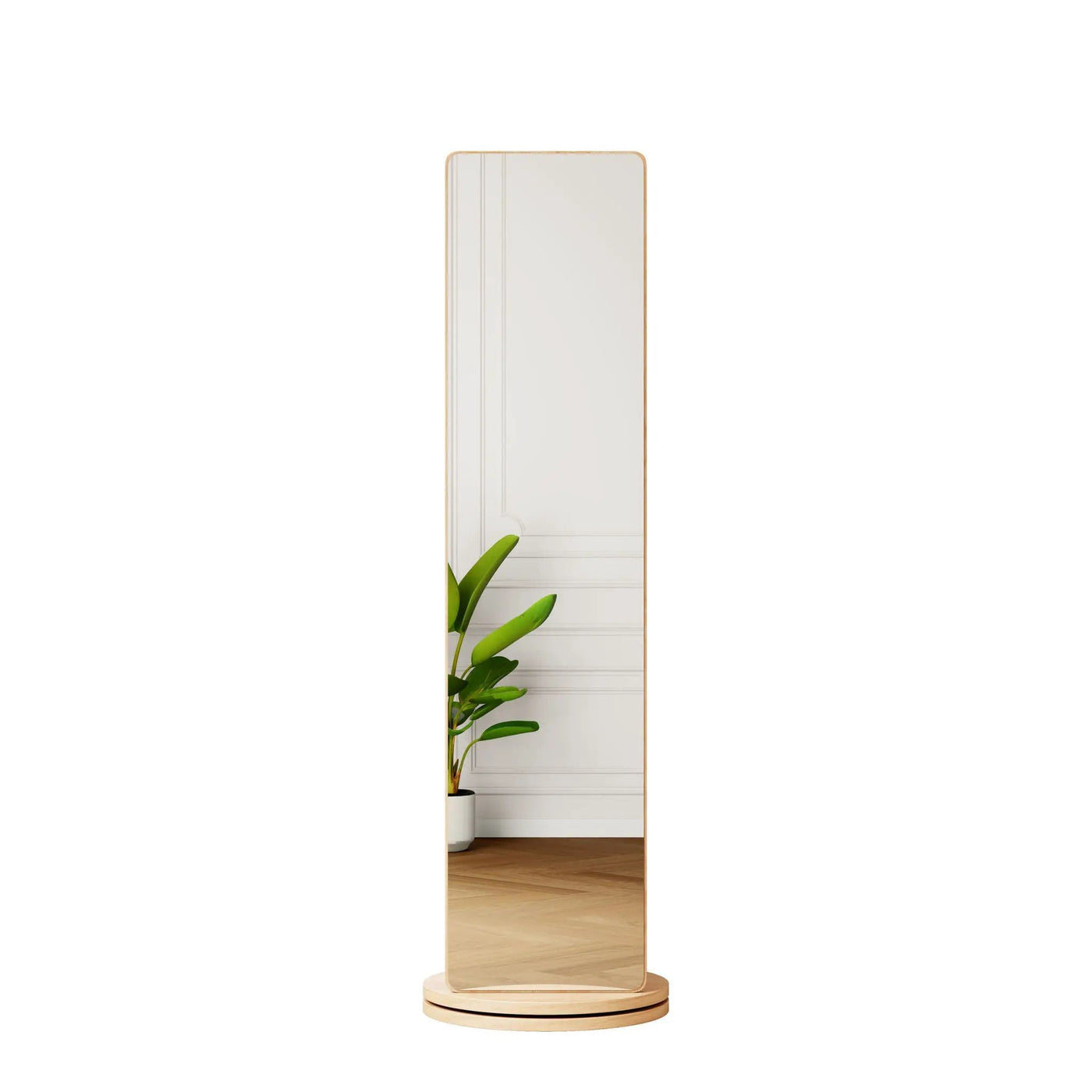 3 In 1 Multifunctional Full-Length Clothing Mirror by HouseOfZazla