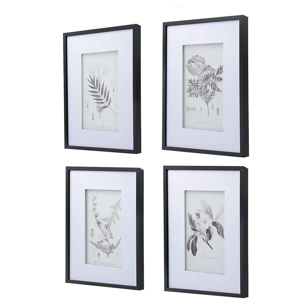 Botanical Wall Art Prints, Home Decor For Living Room Dining Room, Bedroom, Hallway (Set of 4) - White / Black by HouseOfZazla