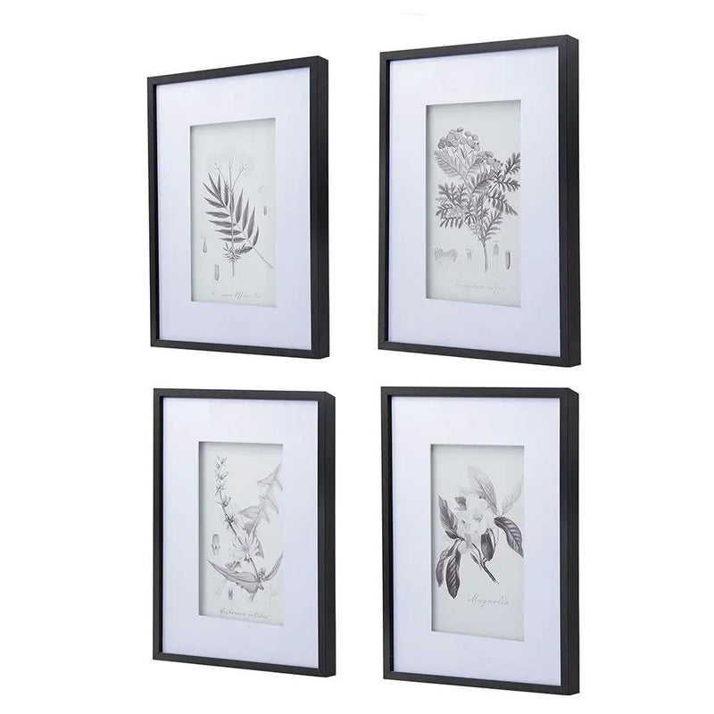 Botanical Wall Art Prints, Home Decor For Living Room Dining Room, Bedroom, Hallway (Set of 4) - White / Black by HouseOfZazla
