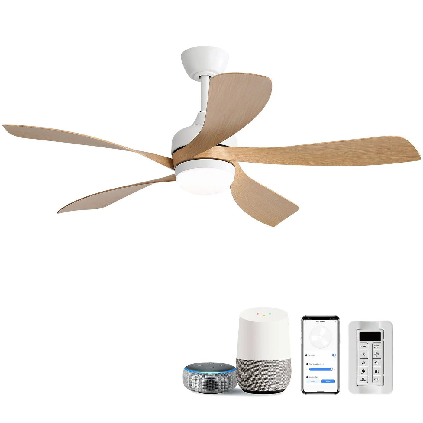 Ceiling Fan with DC Motor and Integrated Light by HouseOfZazla