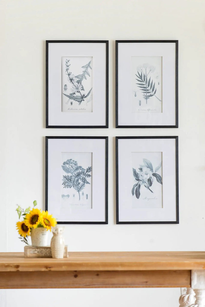 Botanical Wall Art Prints, Home Decor For Living Room Dining Room, Bedroom, Hallway (Set of 4) - White / Black by HouseOfZazla