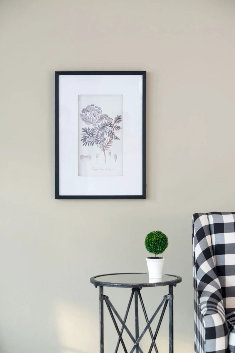 Botanical Wall Art Prints, Home Decor For Living Room Dining Room, Bedroom, Hallway (Set of 4) - White / Black by HouseOfZazla