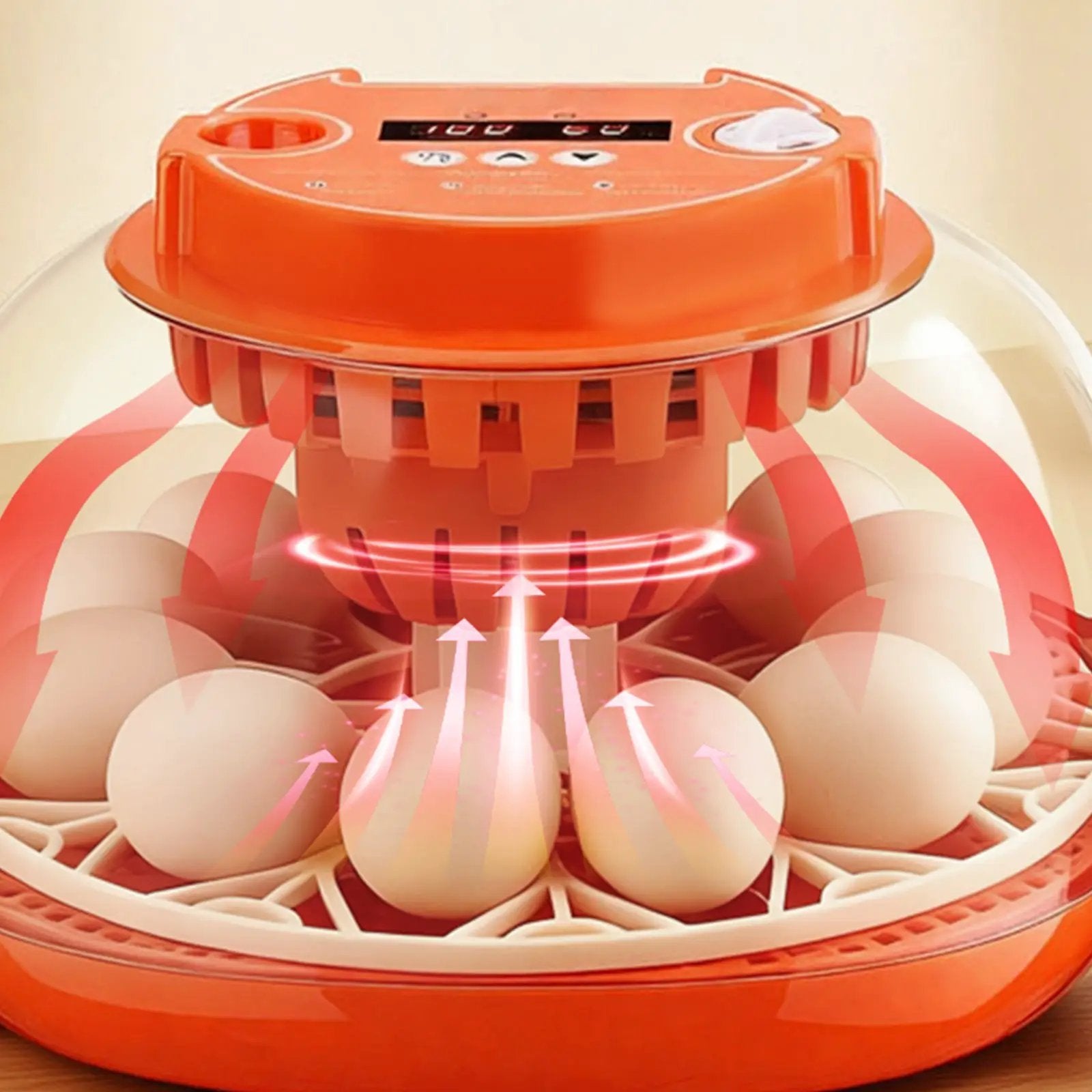 12 Egg Incubator with Automatic Egg Turner and LED Candler by HouseOfZazla