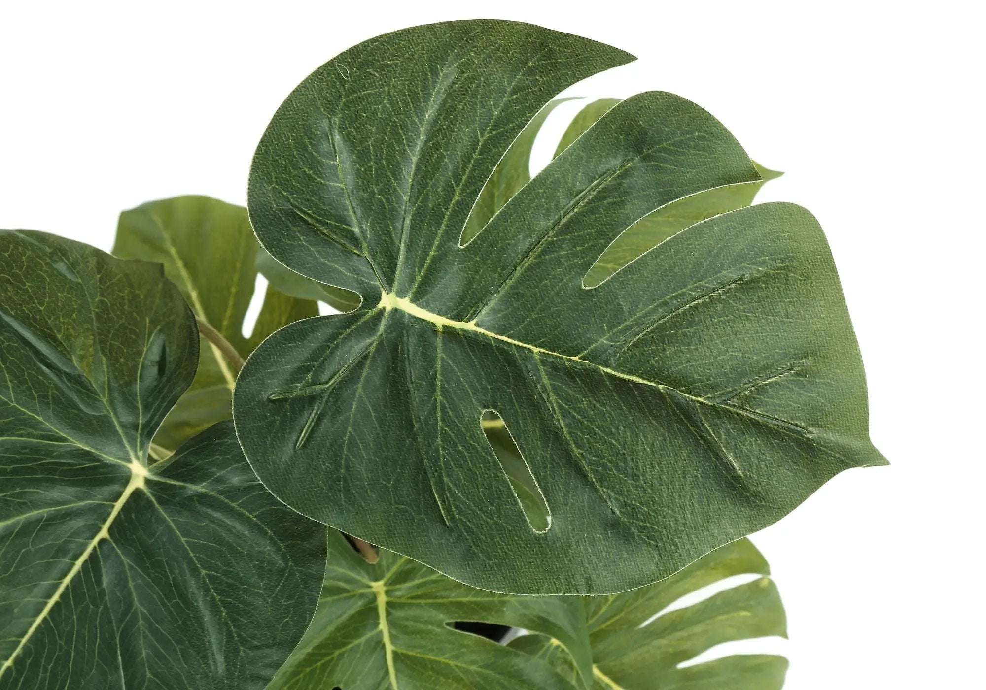 13" Tall, Artificial Plant, Monstera Calthea, Indoor, Faux, Fake, Table, Greenery, Potted, Decorative (Set of 2) - Green / Black by Unique Piece Furniture