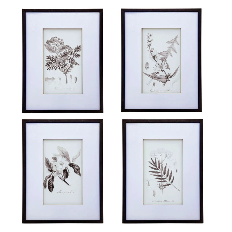 Botanical Wall Art Prints, Home Decor For Living Room Dining Room, Bedroom, Hallway (Set of 4) - White / Black by Unique Piece Furniture