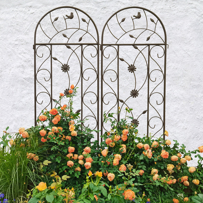 4 Pack Metal Garden Trellis 86.7" x 19.7" Rustproof for Climbing Plants by HouseOfZazla