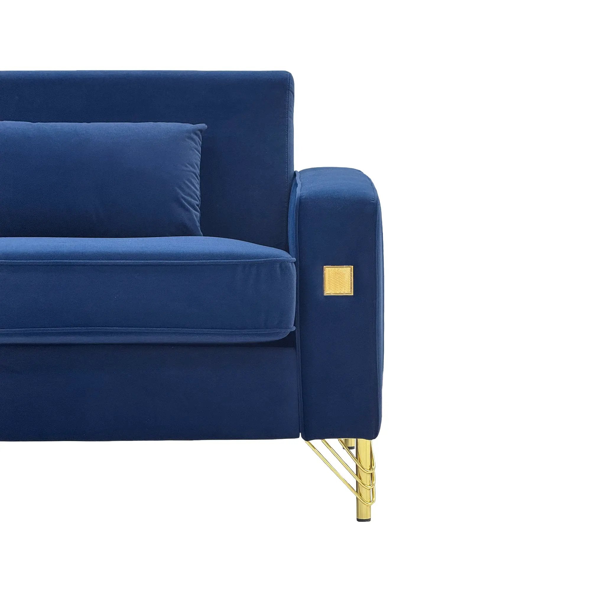 Luxury Velvet Sofa with Gold Accents by HouseOfZazla