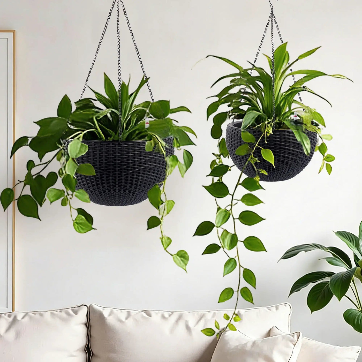 Self Watering Hanging Planter by HouseOfZazla