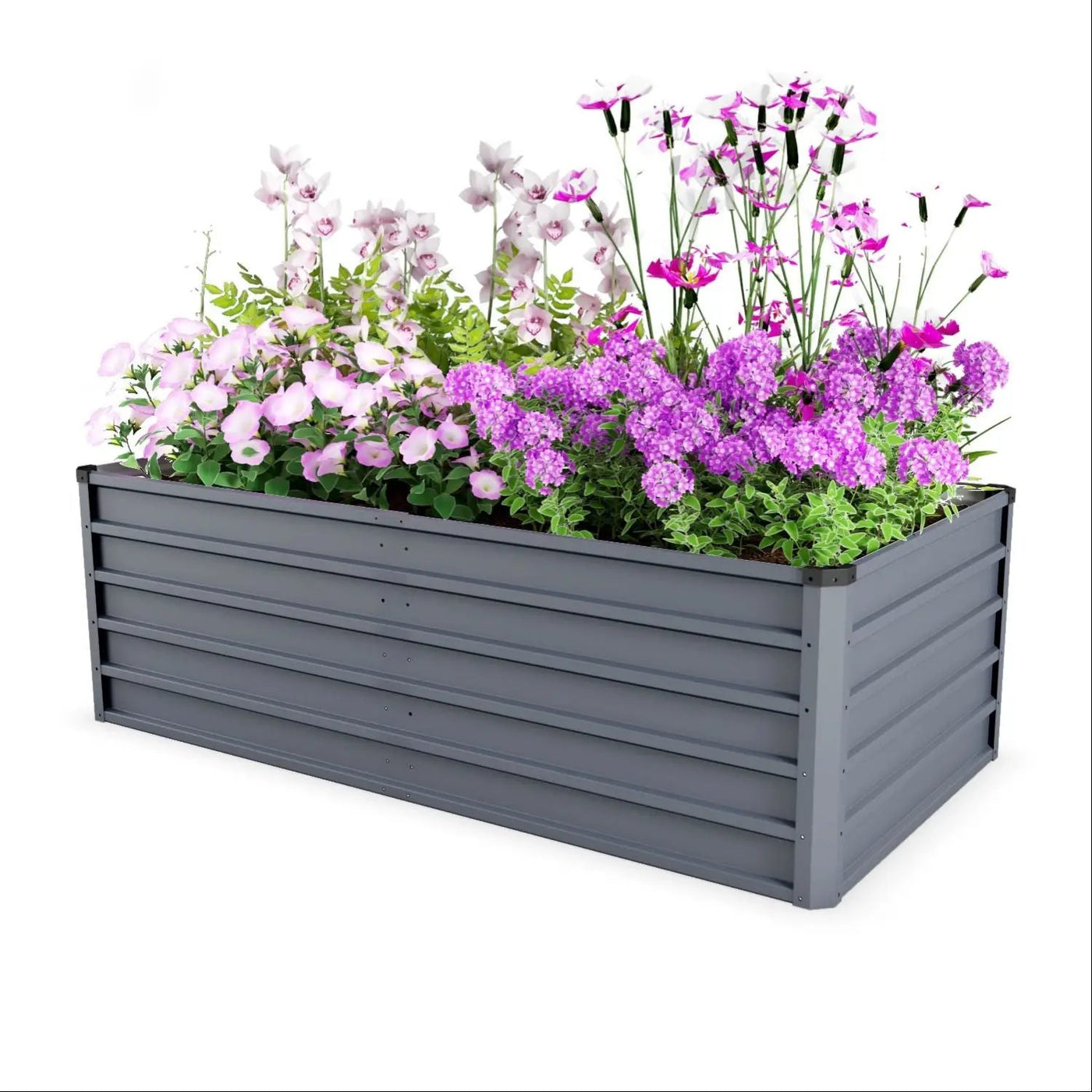 Large Garden Bed For Outdoor by HouseOfZazla
