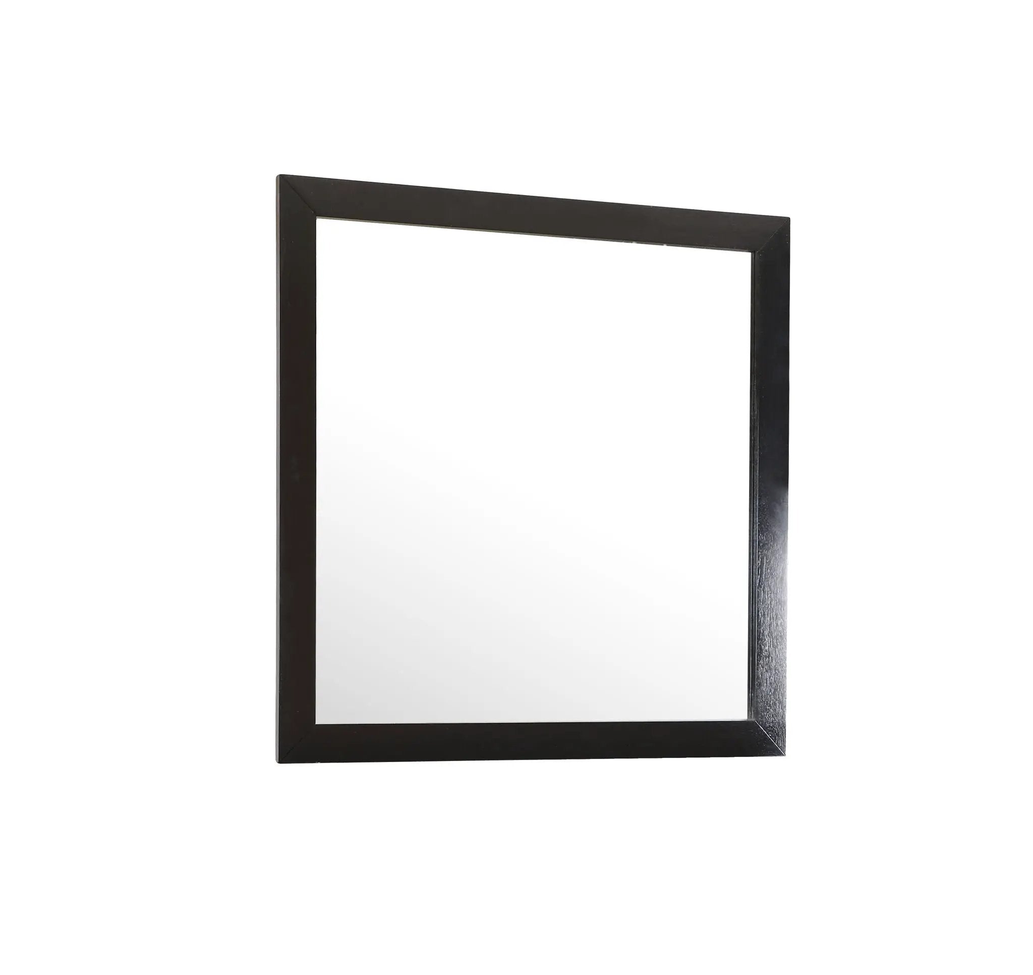 Burlington - Modern Design Transitional Wall Mirror by Unique Piece Furniture