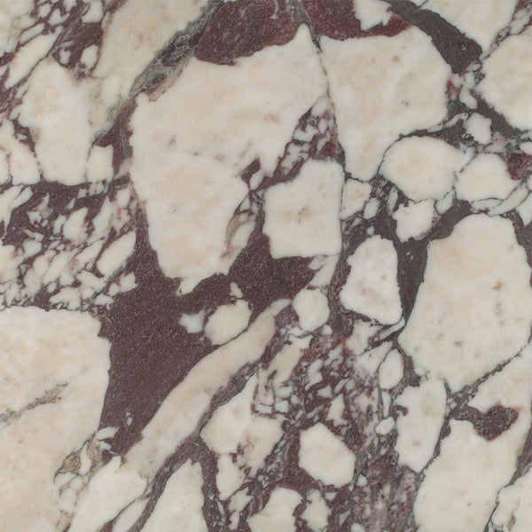 Calacata Violet Polished Marble Tiles 12x12