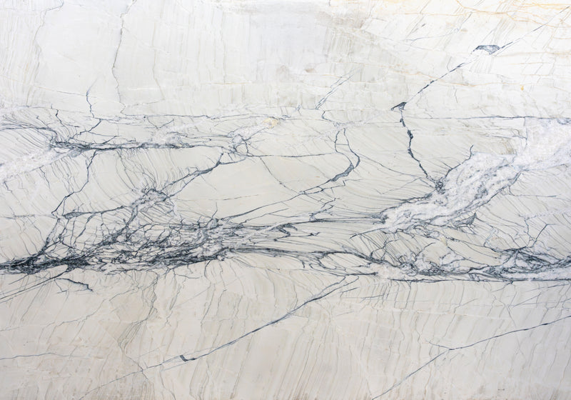 Calacatta Giotto Leather Quartzite Slab Random