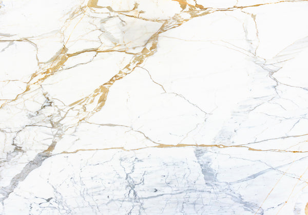 Calacatta Oro Honed Marble Slab Random