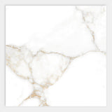 Calacatta Oro Polished Porcelain Tiles 24x24
