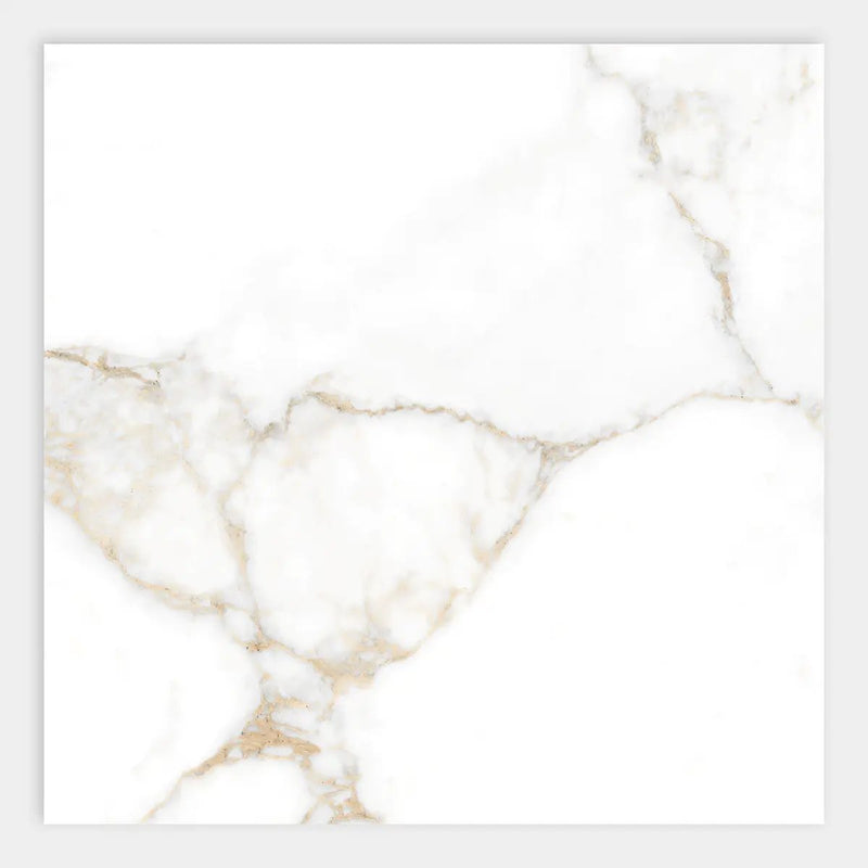 Calacatta Oro Polished Porcelain Tiles 24x24 by Stonetiledepot
