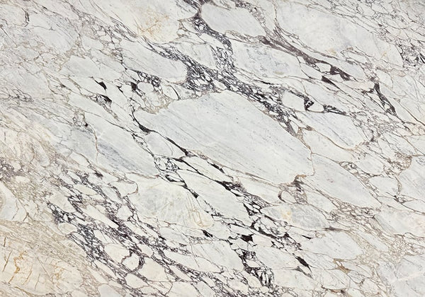 Calacatta Picasso Honed Marble Slab Random