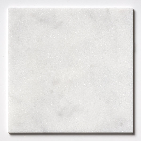 Calacatta T Honed Marble Tiles 12x12