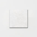 Calacatta T Honed Marble Tiles 5 1/2x5 1/2